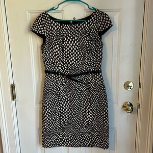 Tahari Black and White Sleeveless Belted Dress